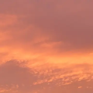 Profile image of 모찌엘