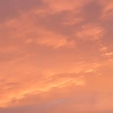 Profile image of 모양몬