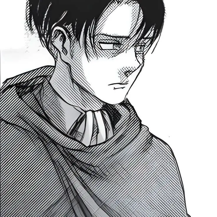 hing...의 리바이 아커만