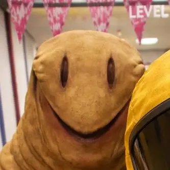Profile image of 파티고어