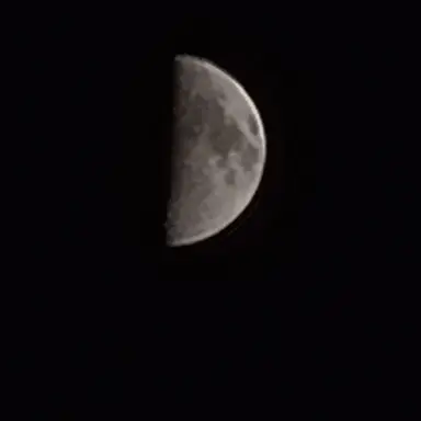 Profile image of 늑대