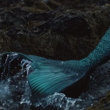 Profile image of チャンビン