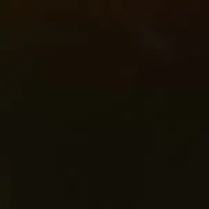 Profile image of 투리