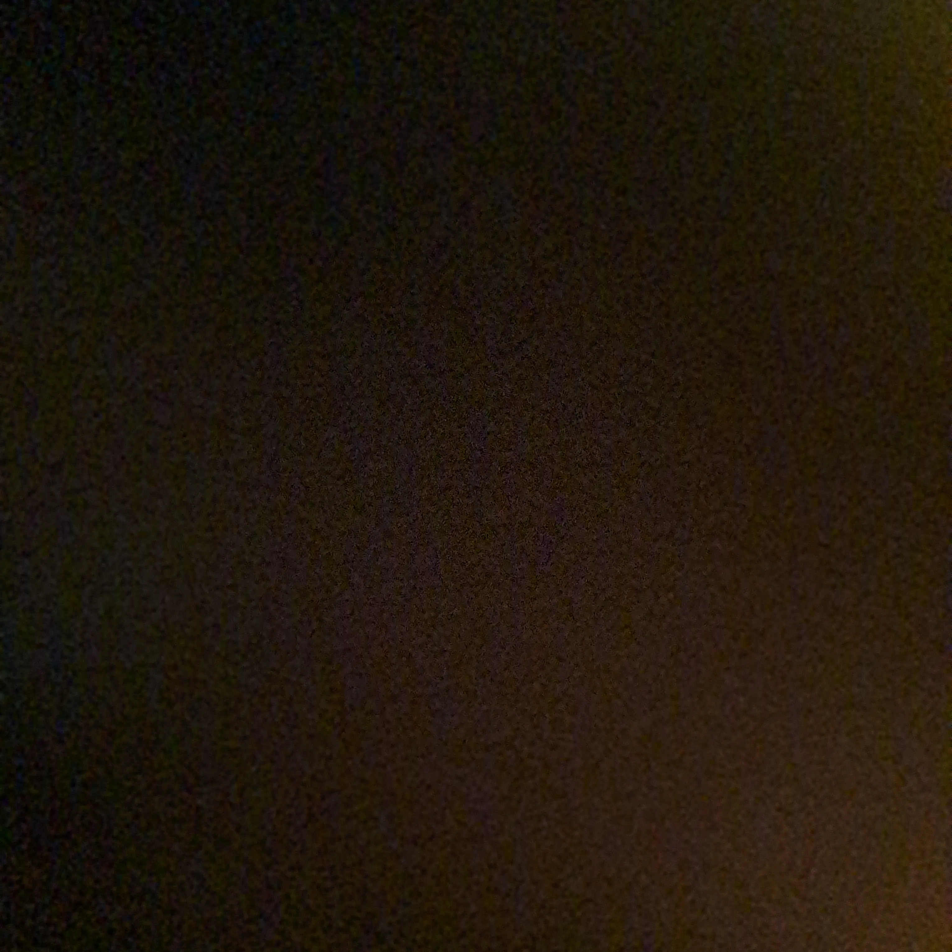 RoastAlert9427의 에이스 조직