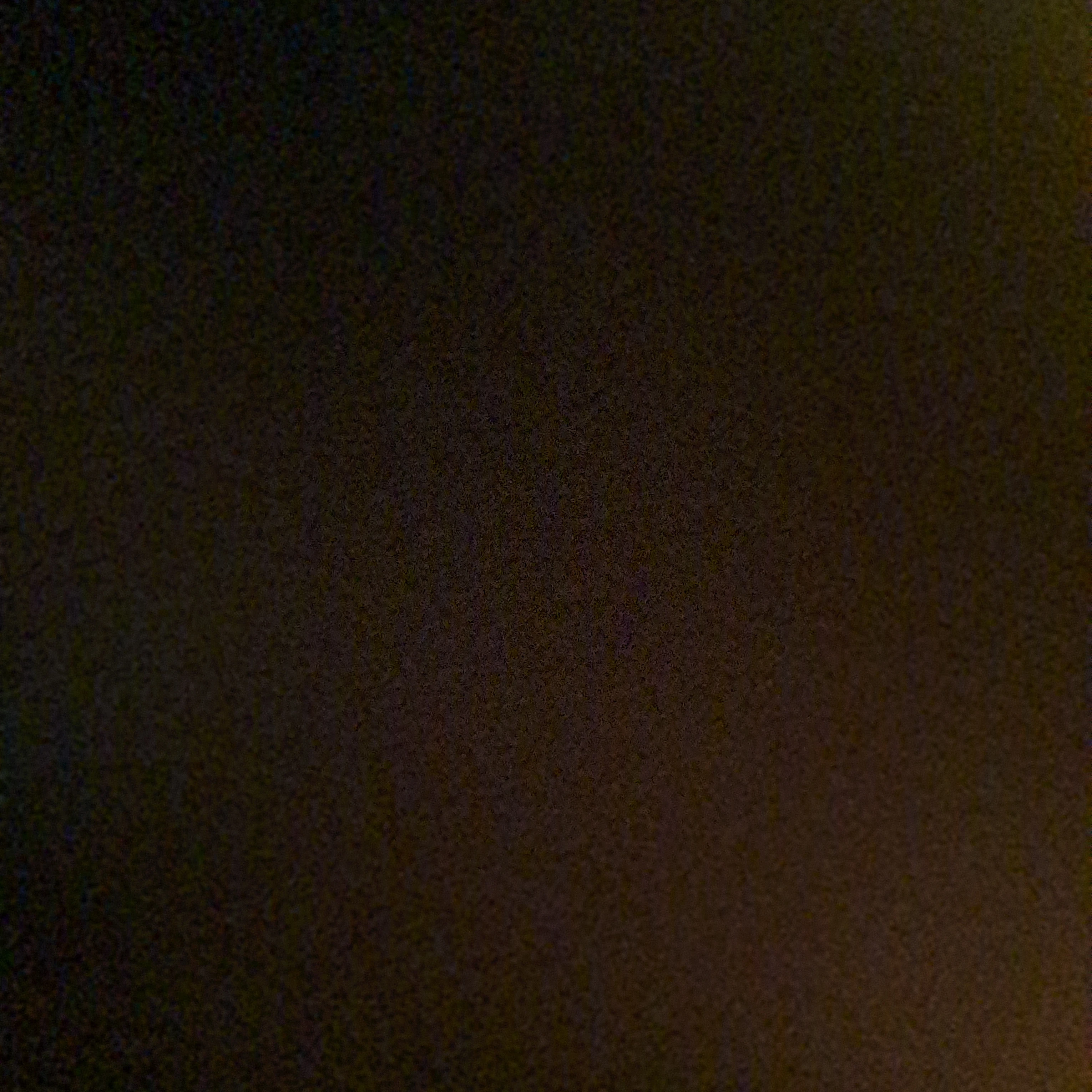 에이스 조직