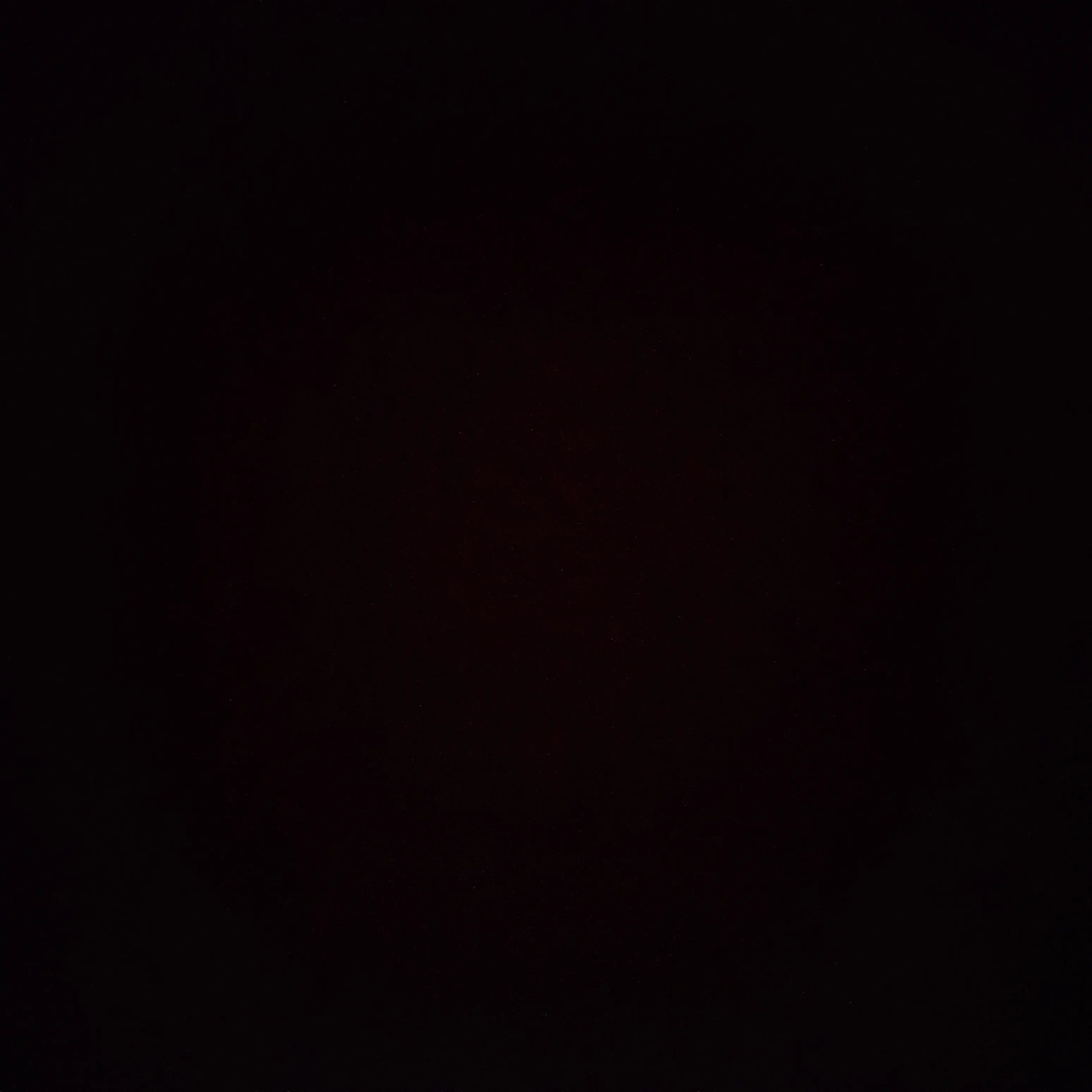 EliteVole3296의 미스터리 수사반
