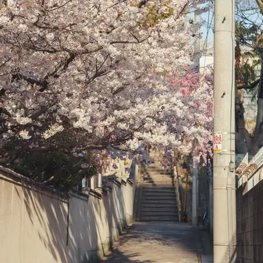 Profile image of 김해솔