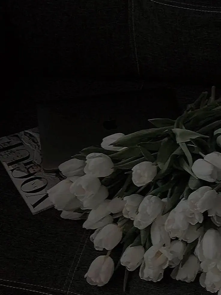 PlumpHeart1326의 🎲💔