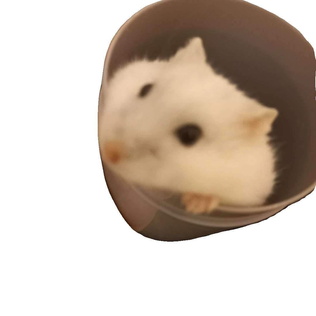 언니