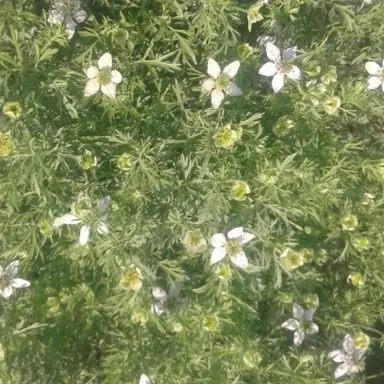 Profile image of 최준솔