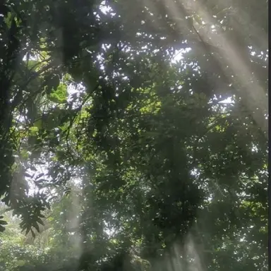 Profile image of 정 형 준