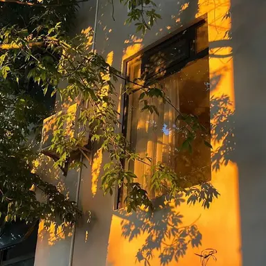 Profile image of 박 영 환