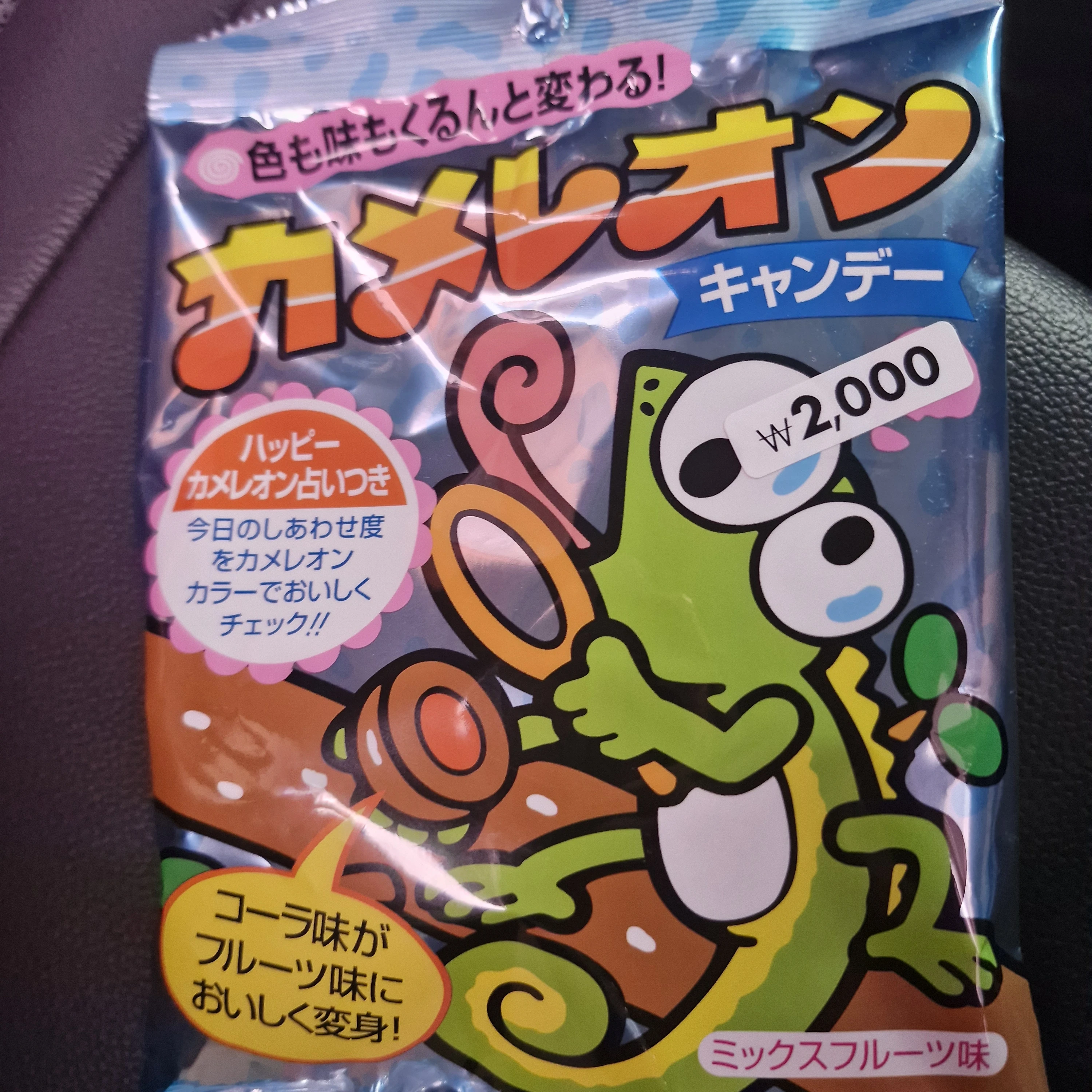 내 자캐