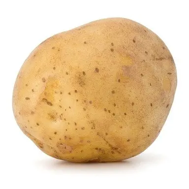 Profile image of 이타도리 유지