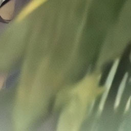 弟たち