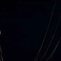 Profile image of 大森元貴