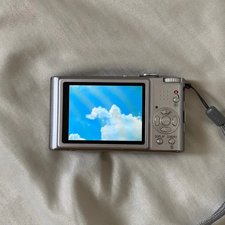 파란