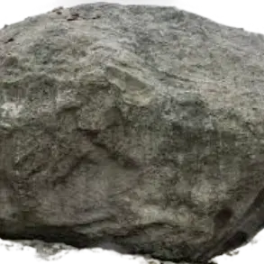 Profile image of 학교