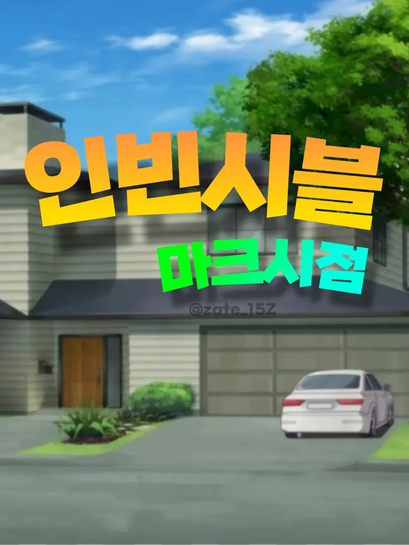 zate15Z의 인빈시블