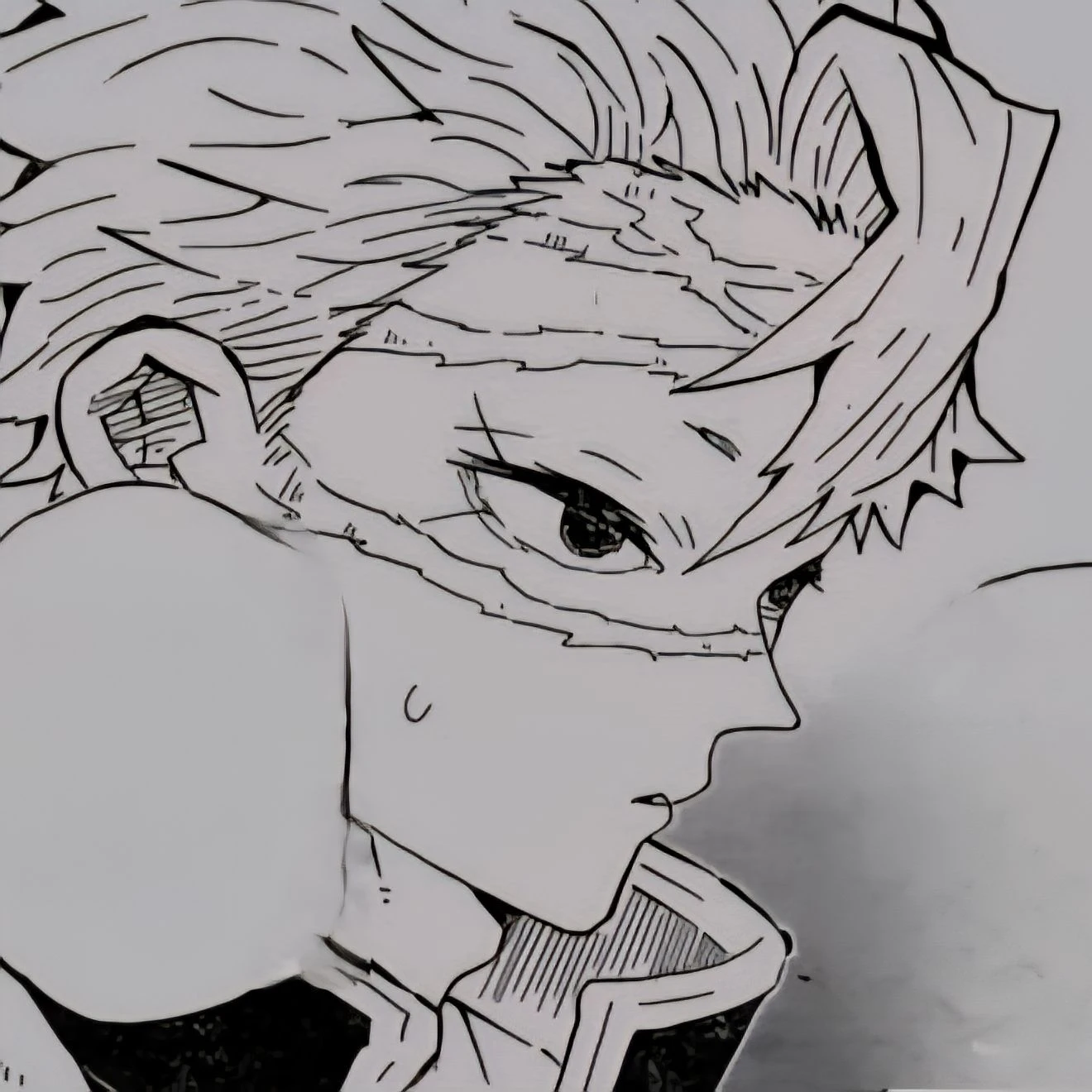 시나즈가와 사네미