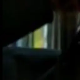 LoudSwan6587의 現実