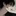 권정훈