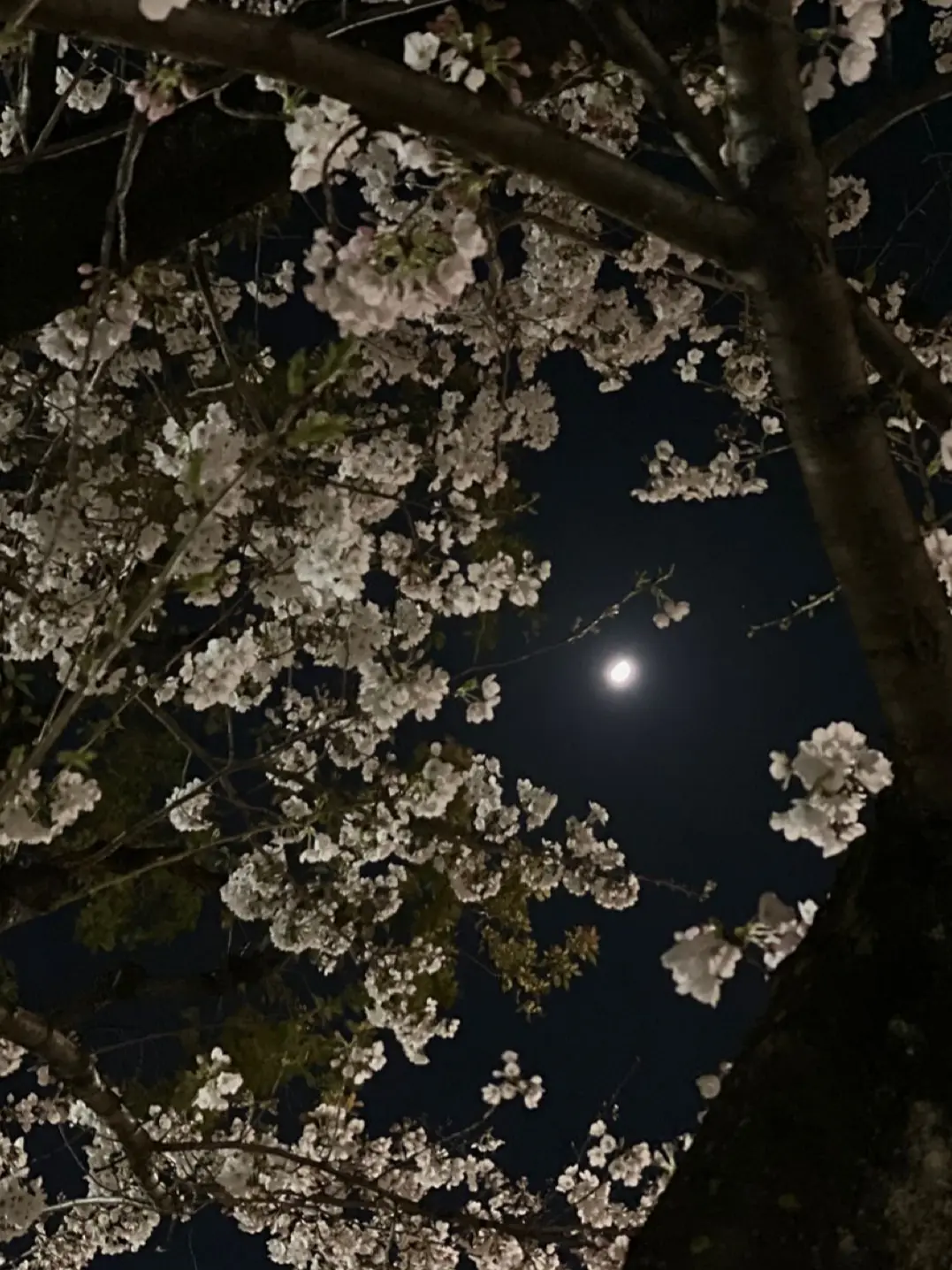 U_kz._.의 教育係の隠し事