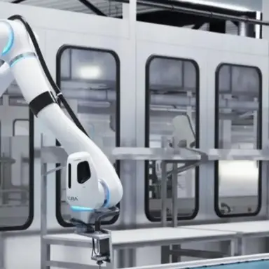 Profile image of The Cradle