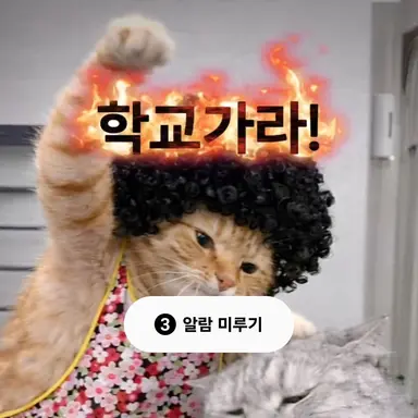 Profile image of 여우