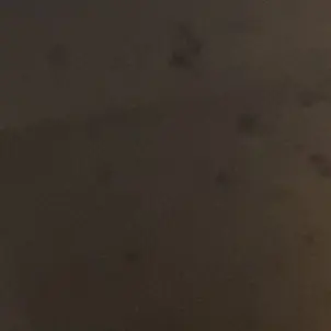 Profile image of 당신