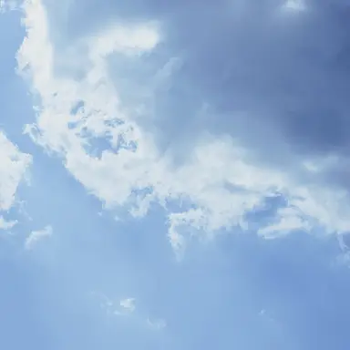 Profile image of 제작자