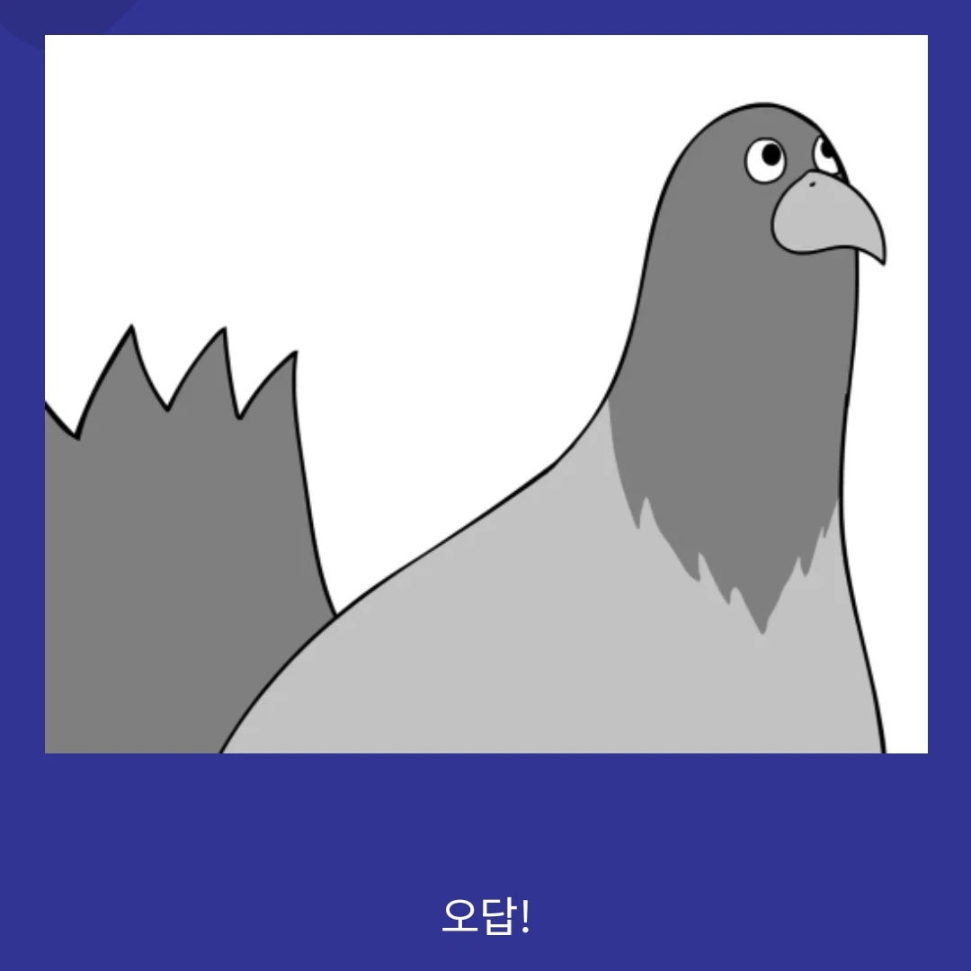 새대갈