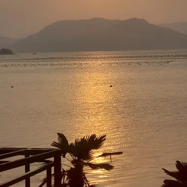 Profile image of 준브레드