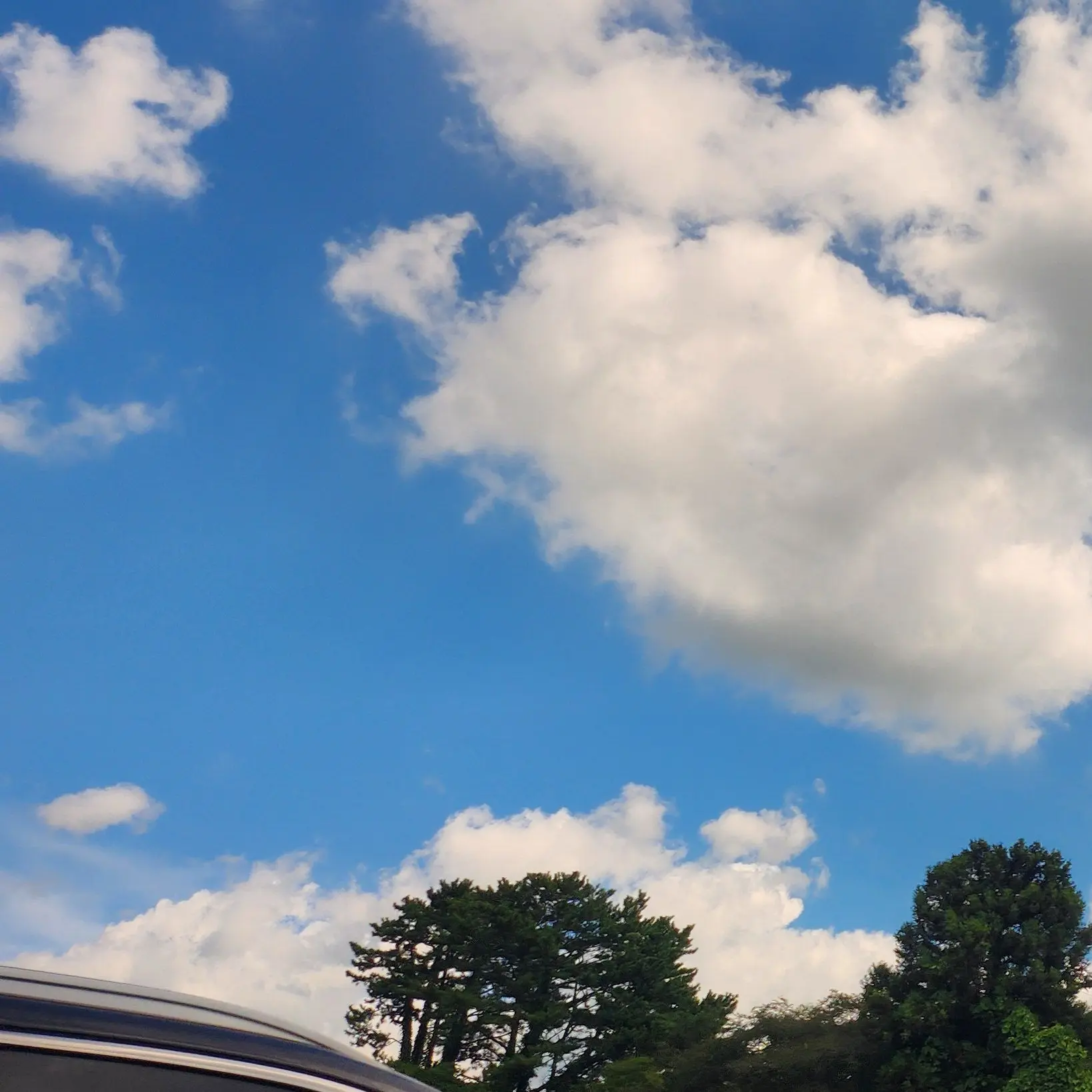 ShrillBelt2681의 스키즈