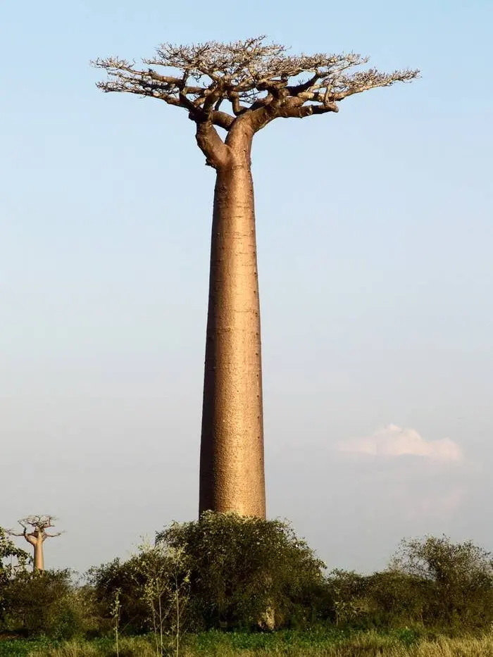 HomelyEuro5274의 アンラッキースケベ