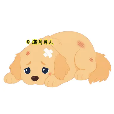 Profile image of ラディス