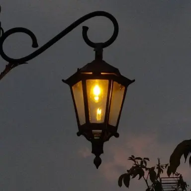 Profile image of 정공룡