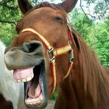 Profile image of 쟝 키르슈타인