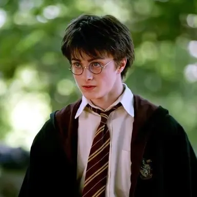 Profile image of Harry Potter