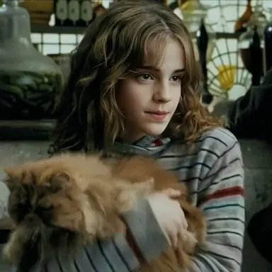 Profile image of Hermione Granger