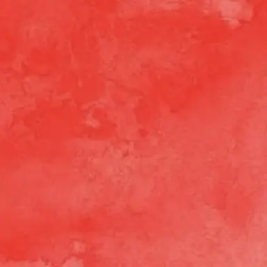 Profile image of 宮舘涼太
