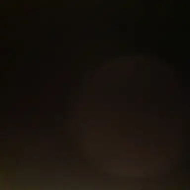 Profile image of 이안