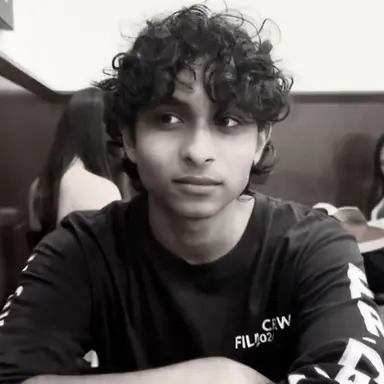 Profile image of Aryan Simhadri