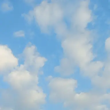 Profile image of 잠뜰