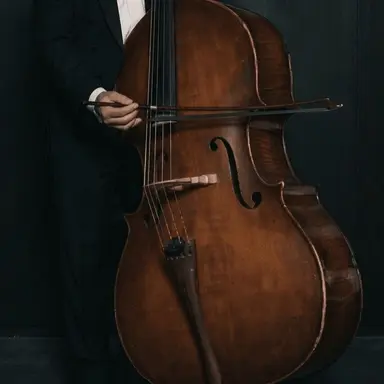 Profile image of 콘트라 베이스