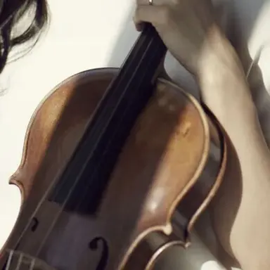 Profile image of 비올라