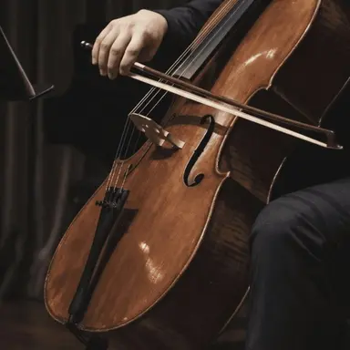 Profile image of 첼로