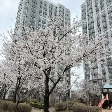 Profile image of 모양몬