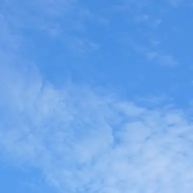 Profile image of 모찌엘