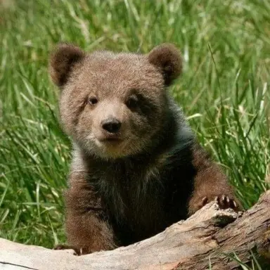 Profile image of 최종호